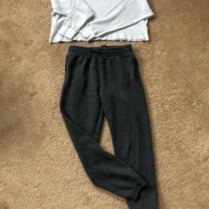 Aritzia Joggers Gray